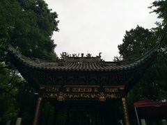 -汇龙潭