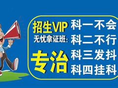 -兰剑驾校(汉阳校区)