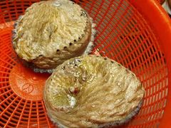 -海九澎湖海鲜餐厅