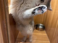 -汤姆宠物(长青北路店)