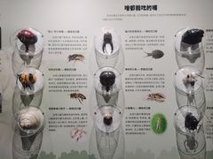 -国家自然博物馆