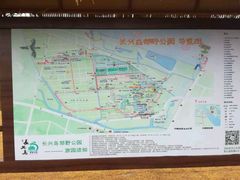 -上海长兴岛郊野公园