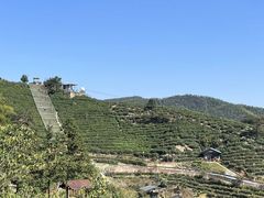 -长沙黑麋峰国家森林公园