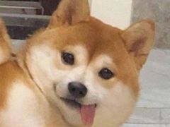 -海底捞火锅(万象城店)