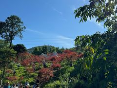 -广州市帽峰山景区