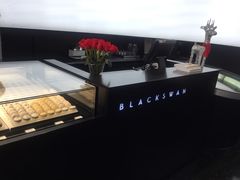 -BLACKSWAN黑天鹅(环球店)