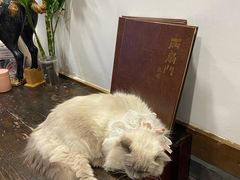 -老外街