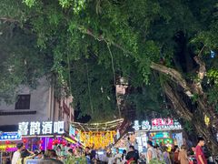 -刘姐啤酒鱼民族演艺餐厅(西街总店)