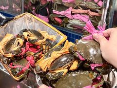 -辣螃铠盆盆蟹大排档(总店)