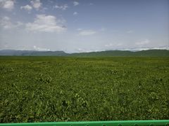 -新疆那拉提国家旅游度假区