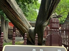 -晋祠博物馆