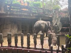 -长鹿旅游休博园