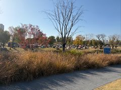 -杭州城北体育公园