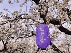 -江苏三台山国家森林公园