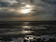 -宝安西湾红树林湿地公园