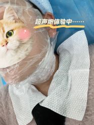 点击看大图 -SKINIST丽铂医疗美容