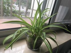 点击看大图 -Anna美妆定制