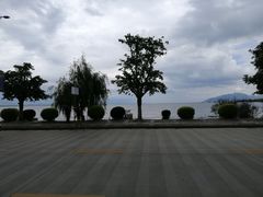 -野菌皇海景野生菌火锅(滨海大道店)