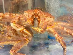 -海底捞大排档火锅(打浦路店)