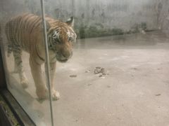 -南昌动物园