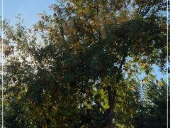 -北京西山国家森林公园