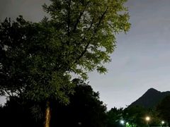 -济南植物园