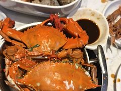 -半岛听涛蒸汽海鲜自助(K11店)