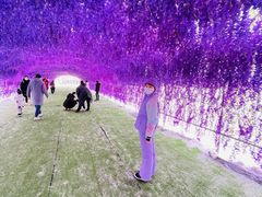 -绿野森林乐园冰雪季