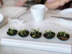 羽衣甘蓝白参菌脆脆塔-茹·pure vegan(博华广场店)