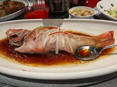 -绿波廊(豫园店)