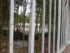 -上海市实验学校