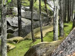 -玉苍山国家森林公园