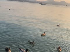 -杭州君悦酒店