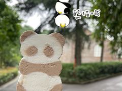 -成都大熊猫繁育研究基地