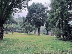 -晓港公园