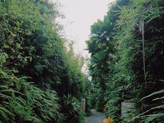 -龙山酒店温泉
