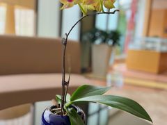 -厦门悦华酒店
