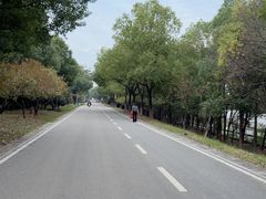 -金银湖国家城市湿地公园
