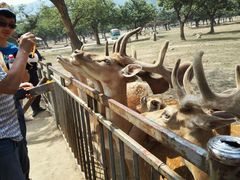 android_upload_pic-西安秦岭野生动物园