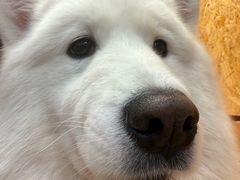 -和它·交个朋友·狗咖猫咖(爱琴海店)