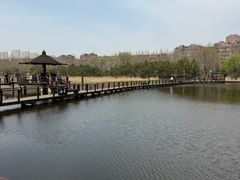 -前关湿地公园