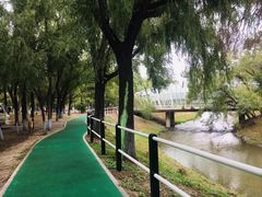 -黛秀湖公园