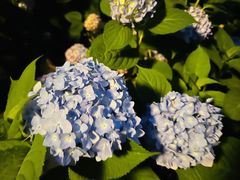 -常州古运河南大街文化旅游区-人民公园