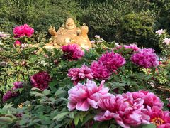 -幕燕滨江·长江观音景区