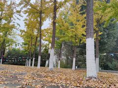 -房山世界地质公园博物馆