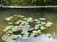 -云溪植物园