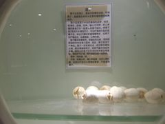-鲜芋仙(中华广场店)