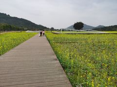 -艾米稻香小镇