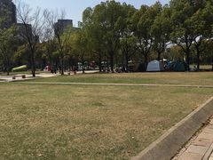 -新江湾城公园