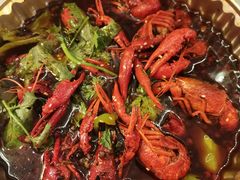 -红辣椒·川菜·火锅(张杨路店)